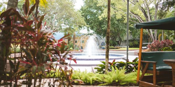 Council for Undergraduate Academic Advising (CUAA)